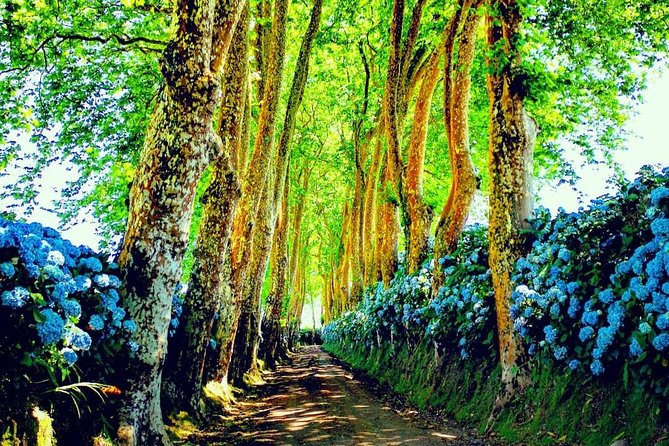 Full day jeep tour Nordeste with lunch included - Price and value: what $108.13 really covers
