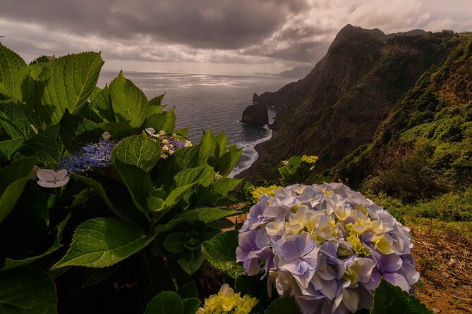 Full Day Madeira Island Tour - Open Roof - Ribeira da Janela and the green-blue north coast feel