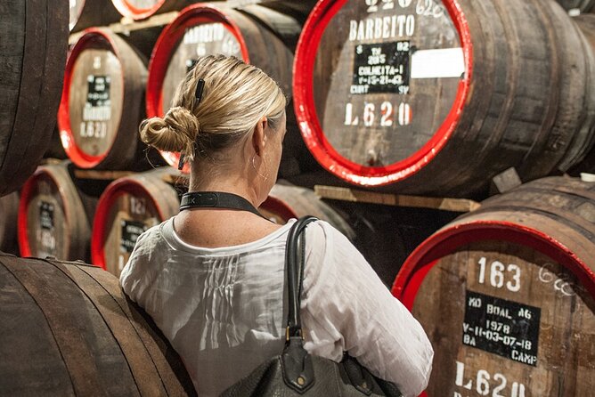 Full-Day Madeira Wine Tasting Tour with Lunch - Funchal in Two Hours: Harbor Energy and Botanical Garden Time