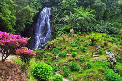 Full-Day Nordeste & waterfall Tour with Lunch - Waterfalls that fit real schedules: Porto Formoso, Risco, and Ribeira dos Caldeirões