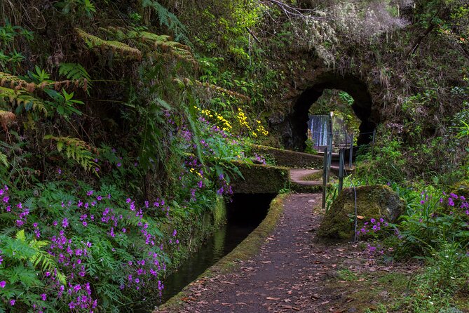 Full Day of Wonders: Madeira 4x4 Private Tour - Villages, waterfalls, and the best kind of big views