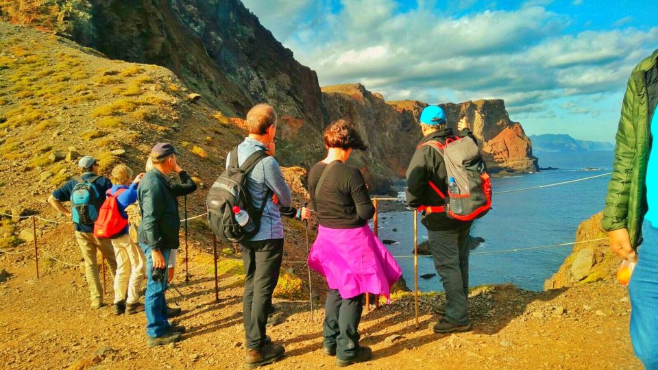 Full Day Ponta de São Lourenço - Natural Reserve - Flora and seabirds: what your guide will help you spot