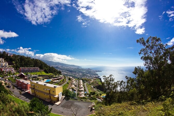 Full-Day Porto Moniz Madeira Island Tour - Porto Moniz, Fanal, and why this route works