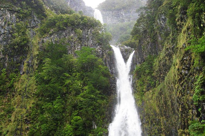 Full-Day Rabaçal Levada Walk from Funchal - Why Rabaçal and the Levada das 25 Fontes Are Worth a Full Day
