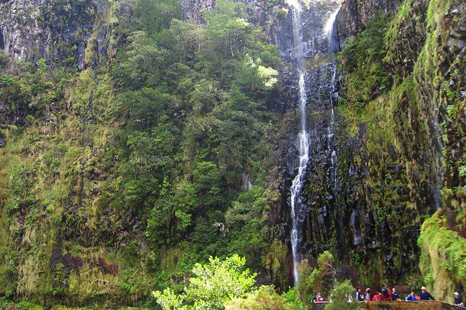 Full-Day Rabaçal Levada Walk from Funchal - Morning Pickup From Funchal: How the Day Gets Organized