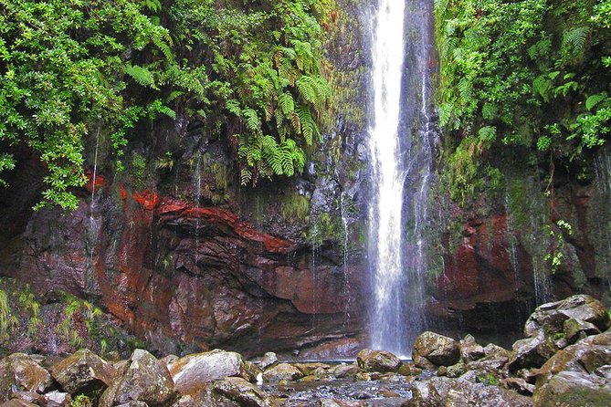 Full-Day Rabaçal Levada Walk from Funchal - What to Pack: Shoes, Rain Gear, and a Picnic (Yes, Really)