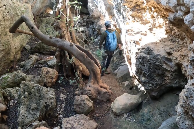 Full Day Rock Climb Adventure Trail from Lisbon with Lunch - The value question: is $84.10 a fair deal for Lisbon adventure climbing?