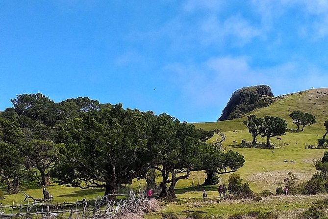 Full-Day Small Group Jeep Safari Tour from Funchal - NorthWest Madeira: UNESCO sights and Porto Moniz volcanic pools