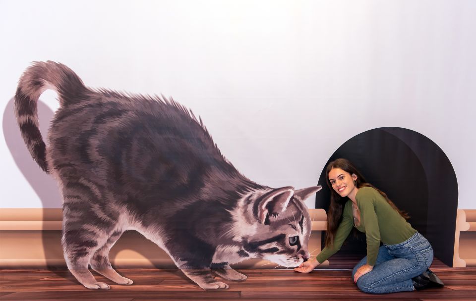 Funchal: 3D Fun Art Museum - Price and Value in Funchal: When $12 Feels Fair