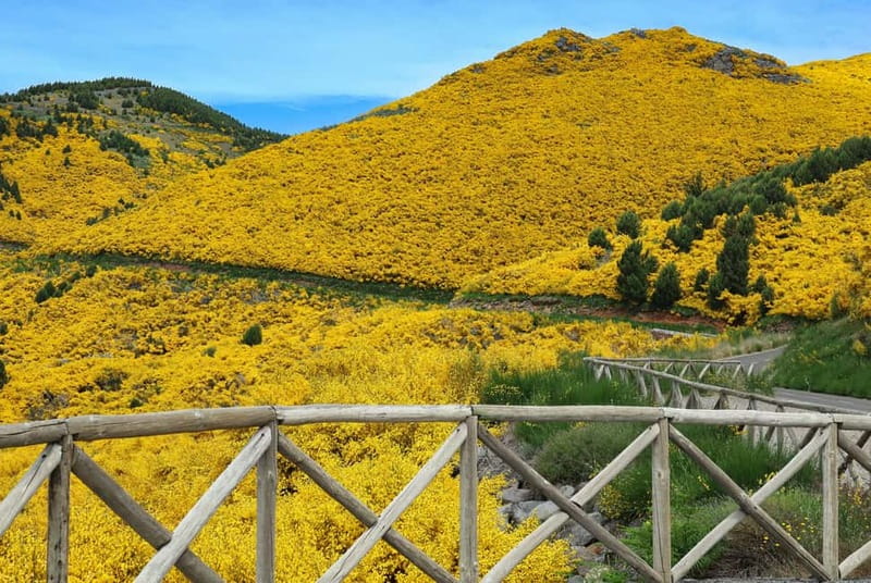 Funchal: 4x4 Jeep Trip to the East and Northeast of Madeira - Faial skywalk and the Guindaste viewpoint: your northeast photo surge