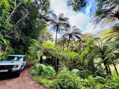 Funchal: 4x4 Jeep Trip to the East and Northeast of Madeira - Paredão and the first viewpoints: quick photos, no rushing