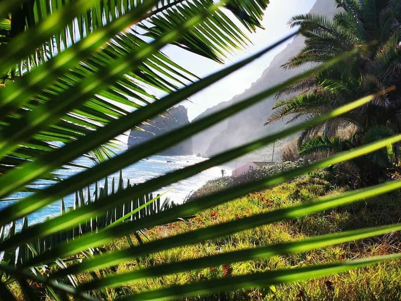 Funchal: 4x4 Jeep Trip to the East and Northeast of Madeira - Ribeiro Frio and the Levada walk option: the good walking, with the fine print