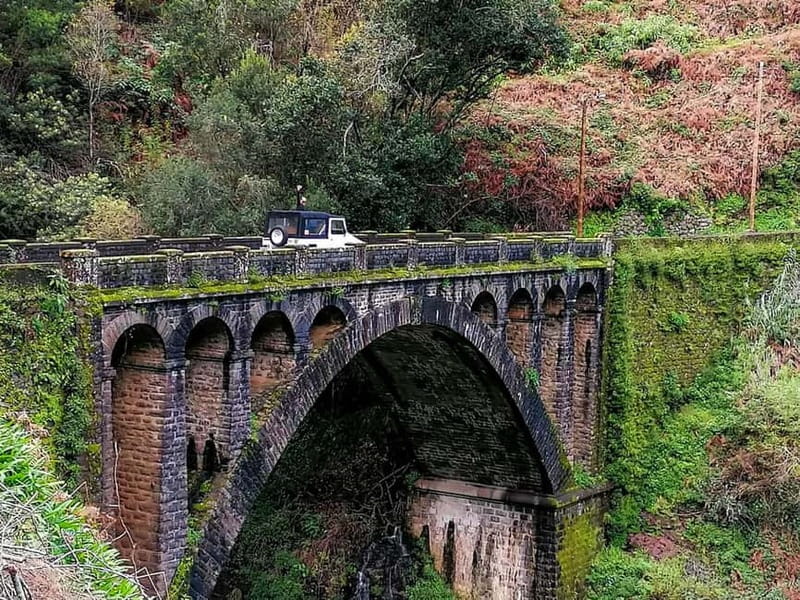 Funchal: 4x4 Jeep Trip to the East and Northeast of Madeira - Ancient forest walk: one of Europe’s oldest areas to slow down
