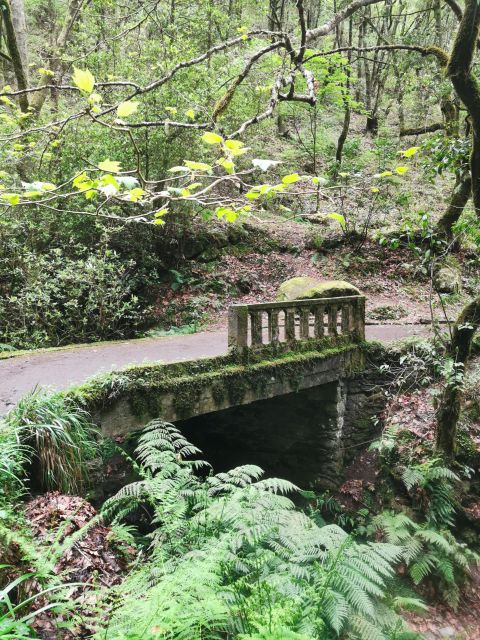 Funchal: 4x4 Jeep Trip to the East and Northeast of Madeira - Lombo Galego and off-road driving: the fun part, with seat reality