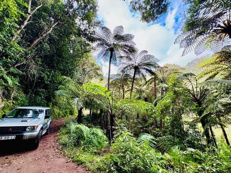 Funchal: 4x4 Jeep Trip to the East and Northeast of Madeira - Paredão and the first viewpoints: quick photos, no rushing