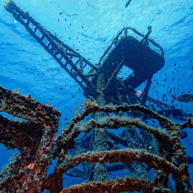 Funchal: Advanced Scuba Diving Afonso Cerqueira Wreck - Key highlights you’ll feel fast