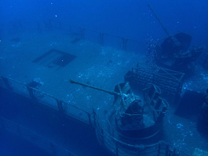 Funchal: Advanced Scuba Diving Afonso Cerqueira Wreck - Marine life on a protected reef: what to look for