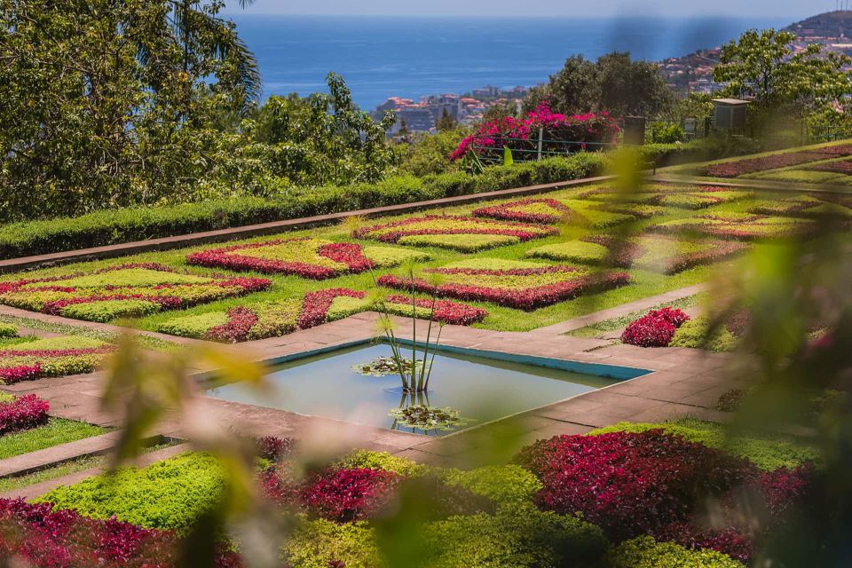 Funchal: Botanical Garden and Old Town Private Tuk-Tuk Tour - The Botanical Garden at Bom Sucesso: More Than Pretty Plants