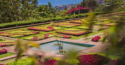 Funchal: Botanical Garden and Old Town Private Tuk-Tuk Tour - Zona Velha (Old Town) in the Best Seat in the City
