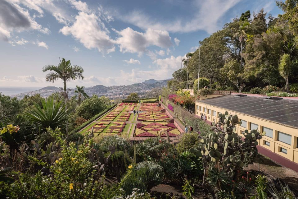 Funchal: Botanical Garden and Old Town Private Tuk-Tuk Tour - Practical Tips Before You Go (So You Enjoy the Fun Part)
