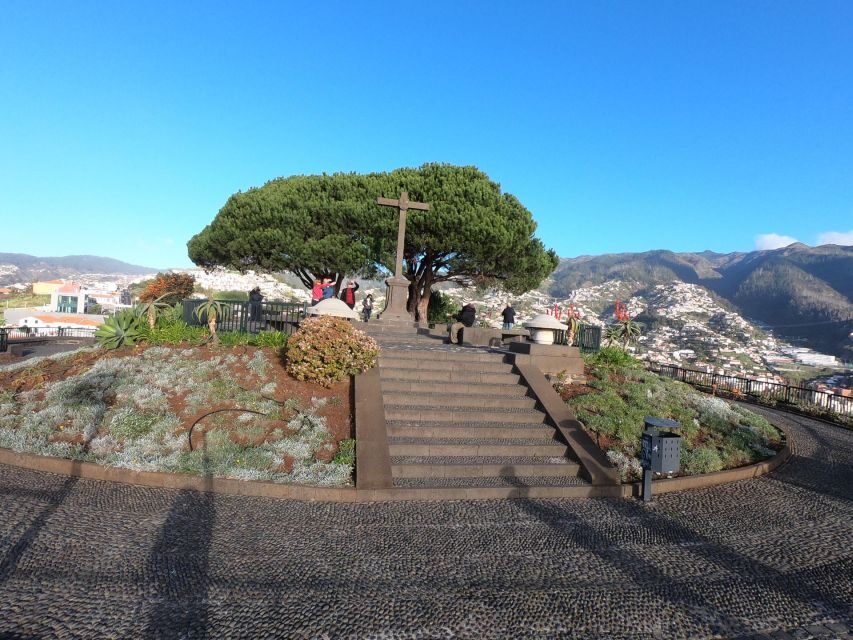 Funchal: Cabo Girão, Wines Tasting and Dolphins Watching - What the 8 hours feel like: a full day of cliffs, wine, and sea