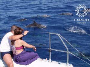 Funchal: Cabo Girão, Wines Tasting and Dolphins Watching - Starting in Funchal: the Boca dos Namorados viewpoint moment