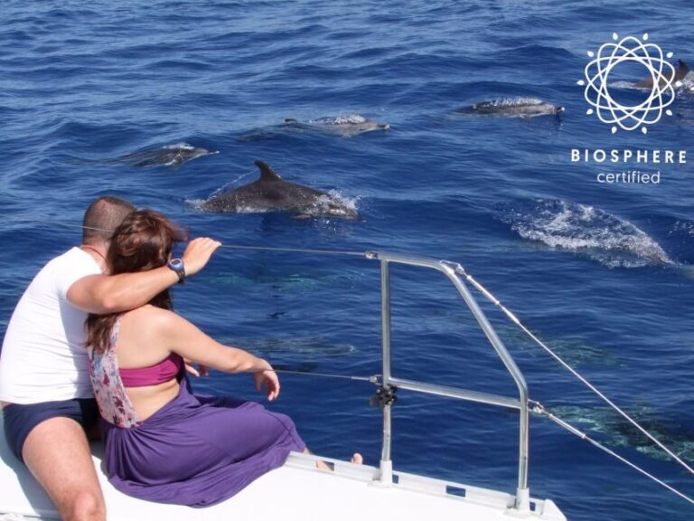 Funchal: Cabo Girão, Wines Tasting and Dolphins Watching - Starting in Funchal: the Boca dos Namorados viewpoint moment