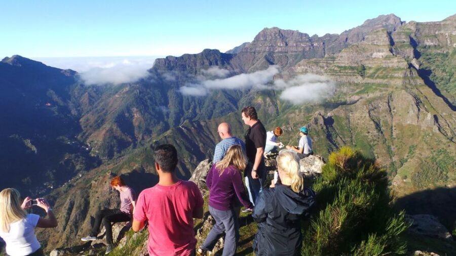 Funchal: Cabo Girão, Wines Tasting and Dolphins Watching - Dolphin watching from a catamaran: what the 3 hours are for