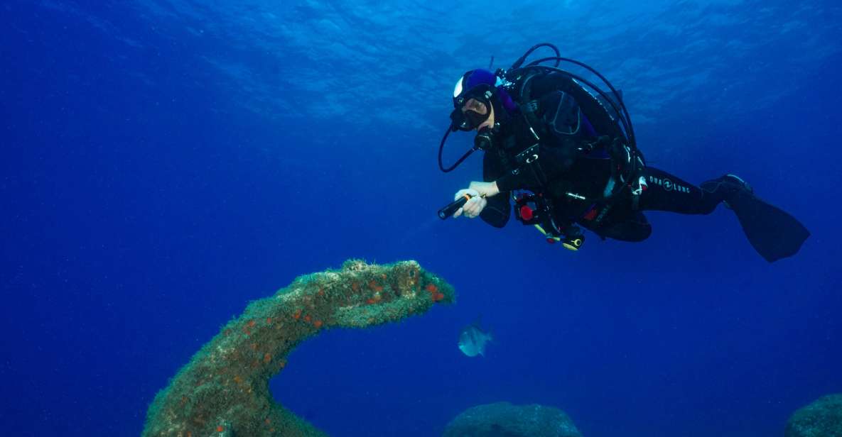 Funchal: Certified Scuba Diving, Guided Tour - The underwater plan: Eco Park Funchal and colorful Atlantic life