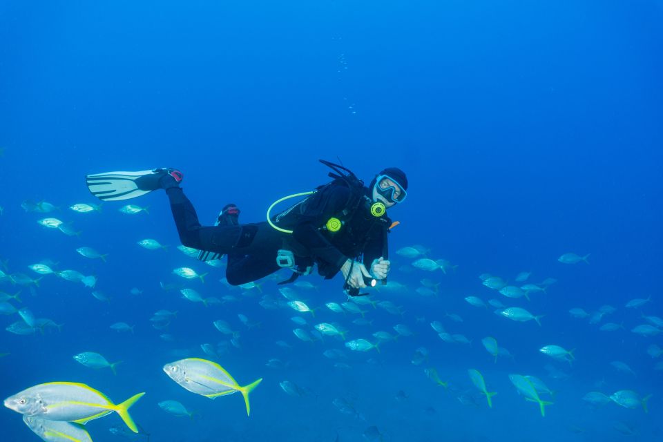Funchal: Certified Scuba Diving, Guided Tour - Underwater scooter (UW-scooter): when fun beats hard work