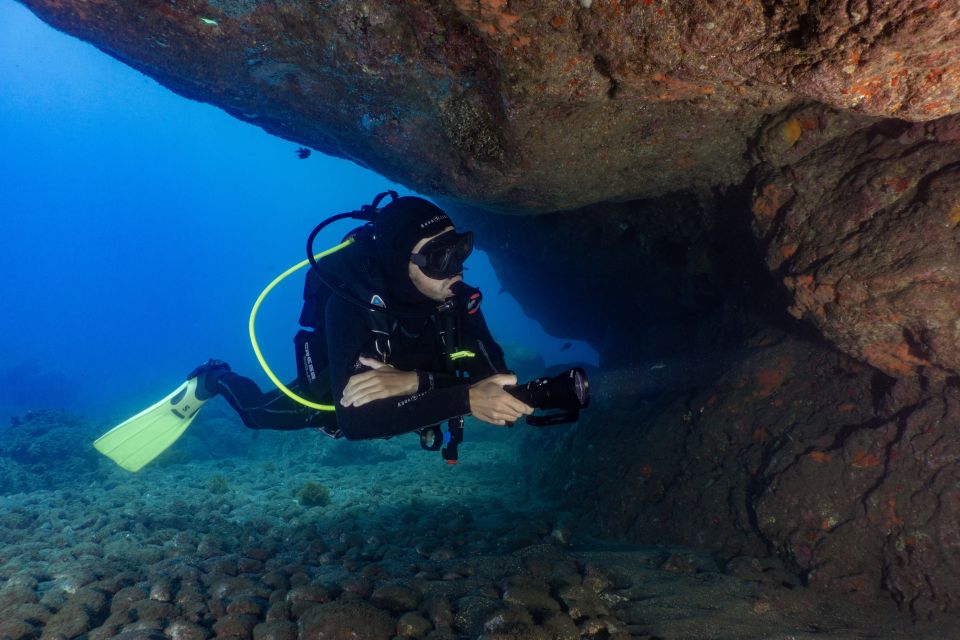 Funchal: Certified Scuba Diving, Guided Tour - Exploring underwater photography without turning it into homework