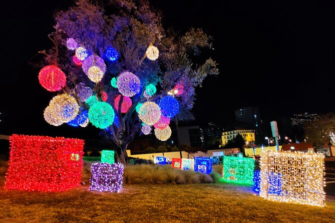 Funchal: Christmas Lights Sightseeing Night Tour - Main avenue near the sea: where the lights set the tone