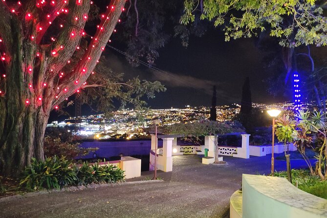 Funchal: Christmas Lights Sightseeing Night Tour - Photo stops and the viewpoint over Funchal