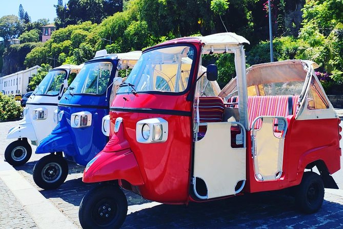 Funchal City Tour + Old Town - A 1-Hour Tuk-Tuk Orientation to Funchal’s Old Town