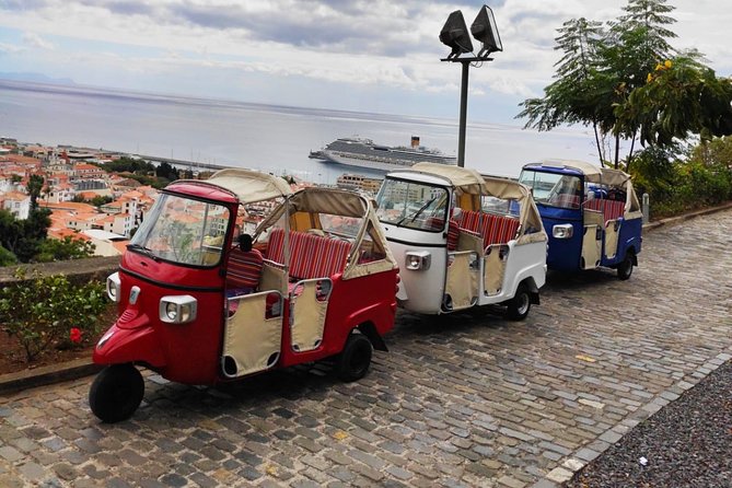 Funchal City Tour + Old Town - Price and value for $38.62