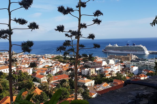Funchal City Tour + Old Town - Who should book this Old Town + city loop