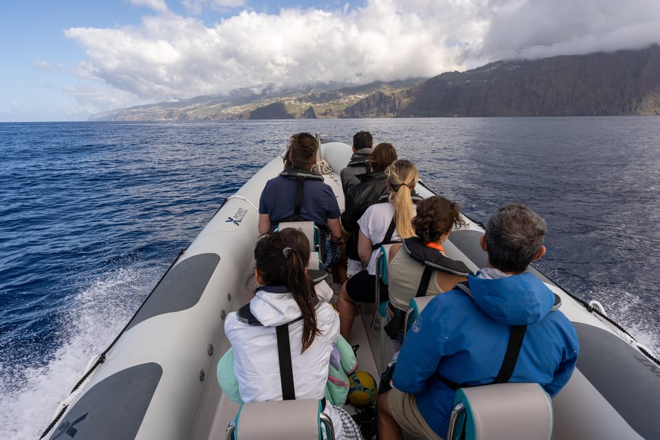 Funchal: Guarantee Wild Dolphin&Whale Watching by RIB - Dolphin Swim and Snorkel Add-On: Worth It, With Real Rules