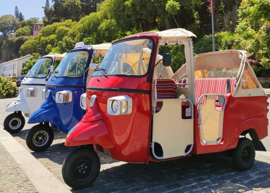 Funchal: Guided City Tuk-Tuk Tour - A 1-Hour Funchal Tuk-Tuk Tour That Gets You Oriented Fast
