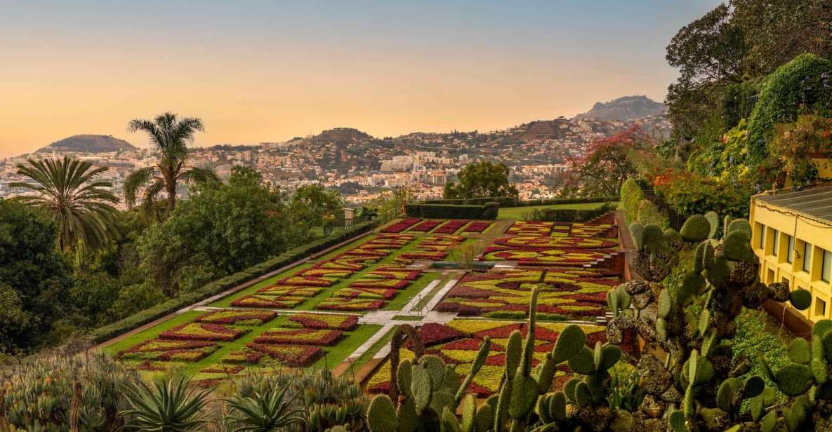Funchal: Guided Old Town Tuk Tuk Tour and Botanical Gardens - Why a tuk tuk tour makes sense in Funchal’s hills
