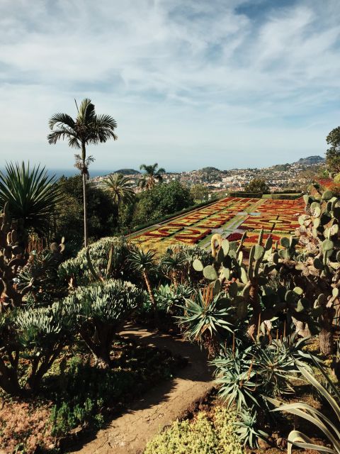 Funchal: Guided Old Town Tuk Tuk Tour and Botanical Gardens - Old Town stops: cathedral views and the Mercado dos Lavradores