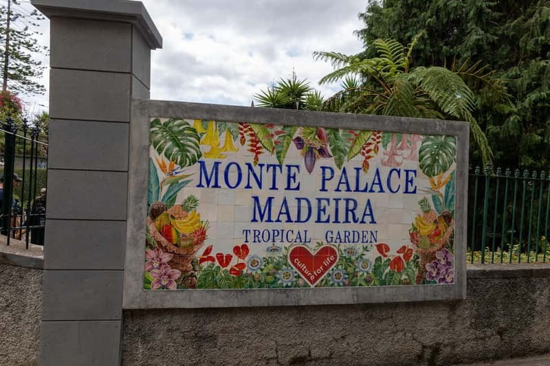 Funchal: Guided Tuk Tuk Tour to Toboggan Rides & Old Town - Tuk Tuk to Monte: why this works better than buses