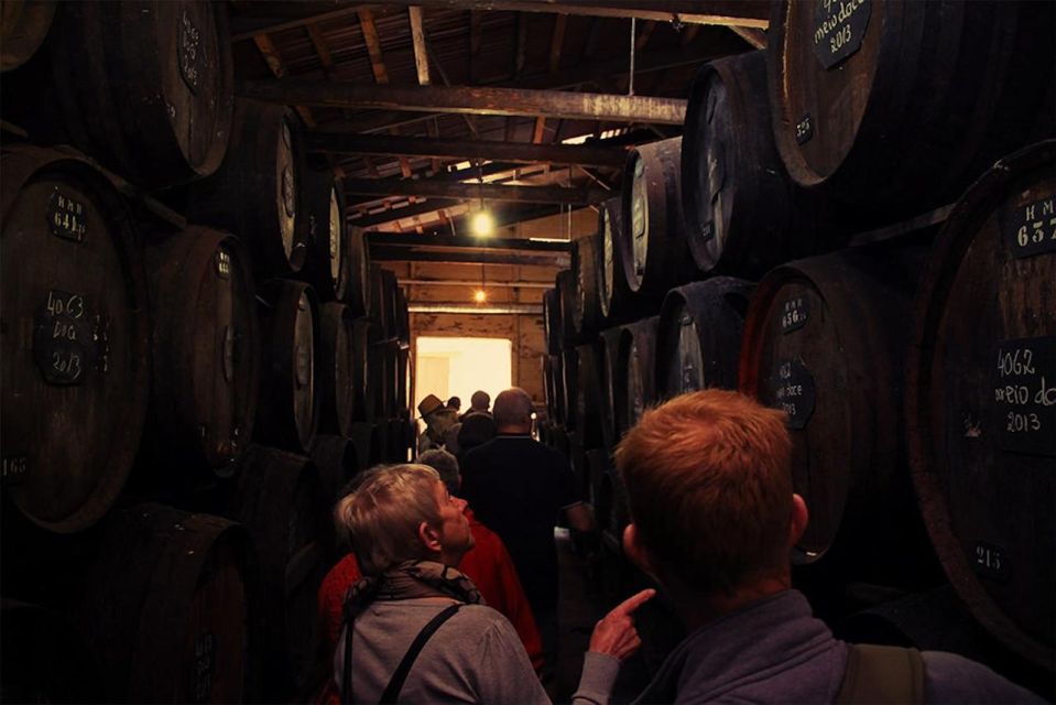 Funchal: H.M. Borges Winery Guided Tour with Wine Tasting - Why this H.M. Borges Madeira tour feels different in Funchal