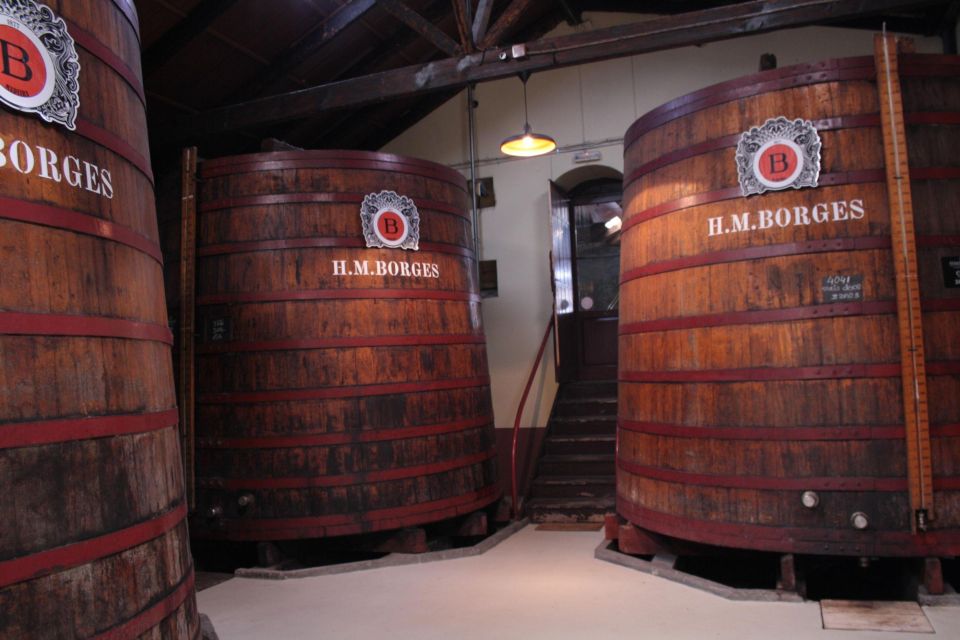 Funchal: H.M. Borges Winery Guided Tour with Wine Tasting - The included snacks: mini honey cake and sugar cane cookies