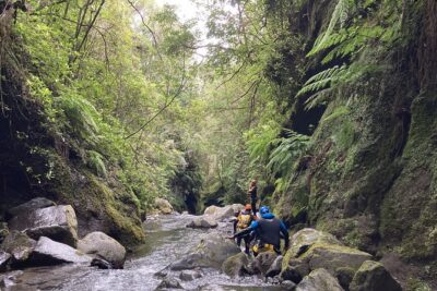 Funchal: Half-day Beginners Canyoning - Meeting at Lokoloko: Start Time, Small Groups, and No Pickup