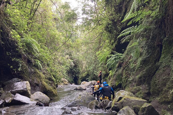 Funchal: Half-day Beginners Canyoning - Meeting at Lokoloko: Start Time, Small Groups, and No Pickup