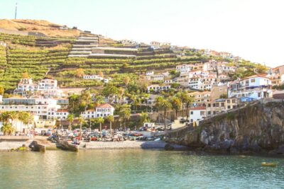 Funchal: Hop-On Hop-Off Bus Tour - Boarding at Avenida do Mar Marina: where the yellow buses start