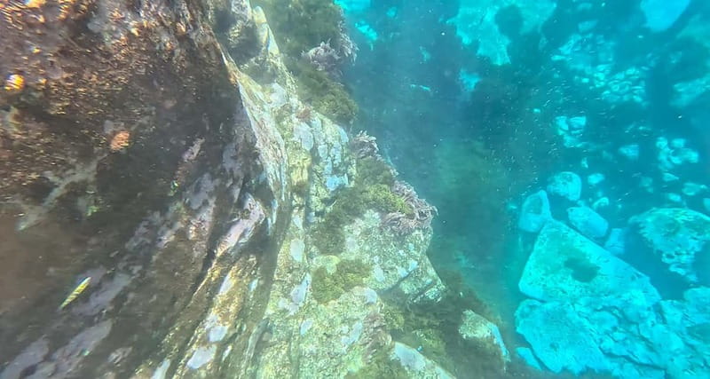 Funchal: Kayak and Snorkel Tour to Garajau NR - Ponta do Lazareto Stop: Photos and Orientation Before the Water Time
