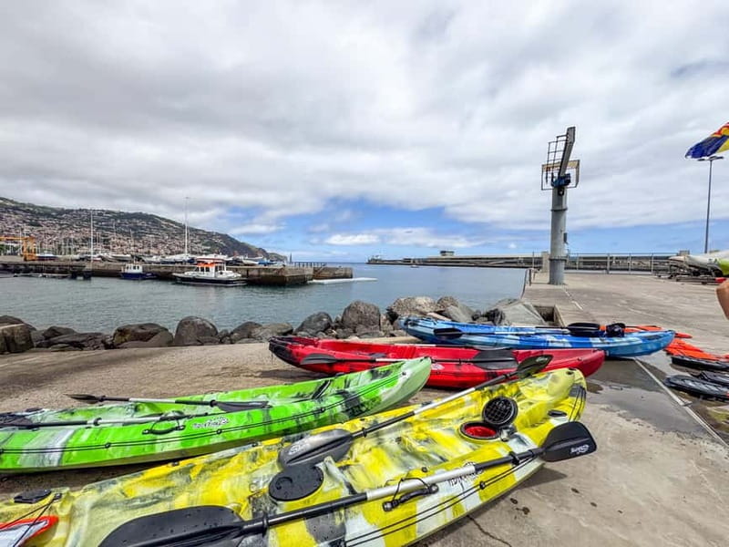 Funchal: Kayak and Snorkel Tour to Garajau NR - Who Should Book This (and Who Should Skip It)