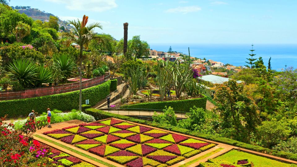 Funchal: Madeira Botanical Garden Tuk-Tuk Tour + Old Town - Key highlights before you go