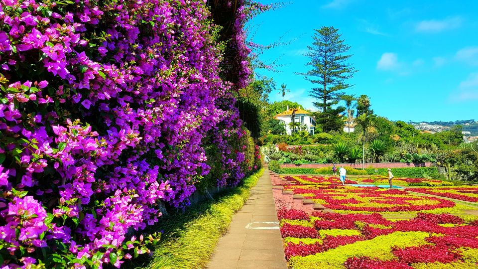 Funchal: Madeira Botanical Garden Tuk-Tuk Tour + Old Town - Hotel pickup to tuk-tuk ride: the low-stress start